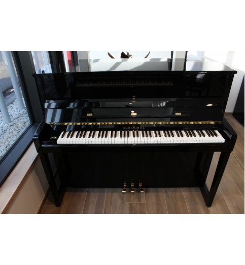 Schimmel C120 Tradition - Occasion